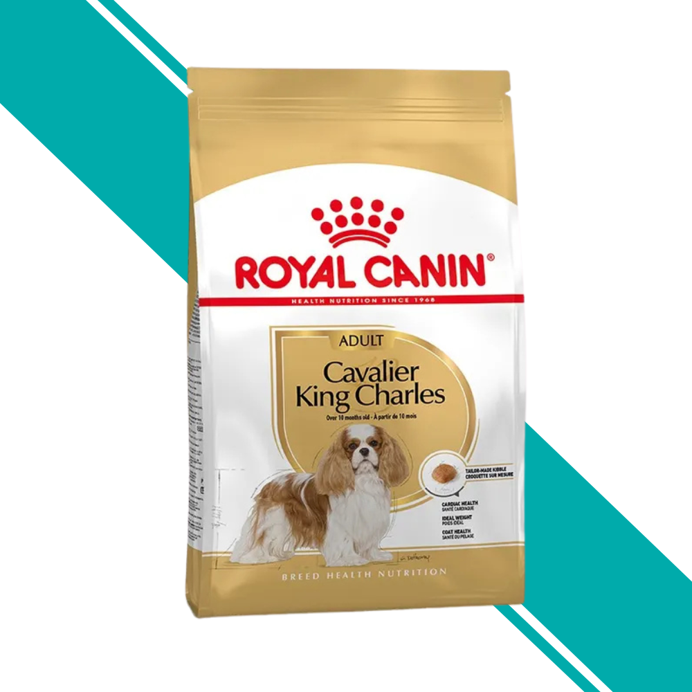 Royal Canin Adult Cavalier King Charles Spaniel Dry Dog Food